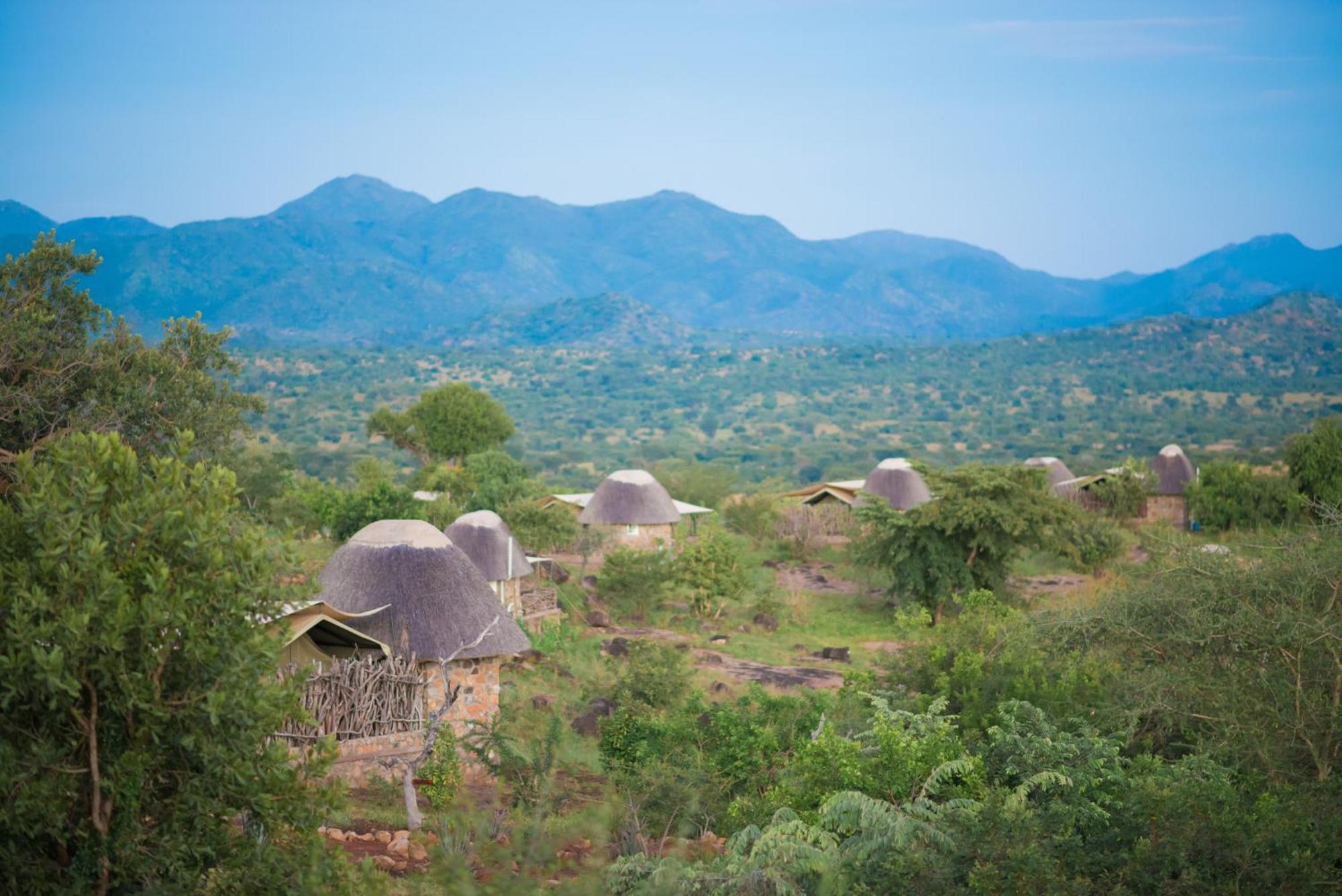 Kidepo Savannah By Nature Ltd * Loitanit