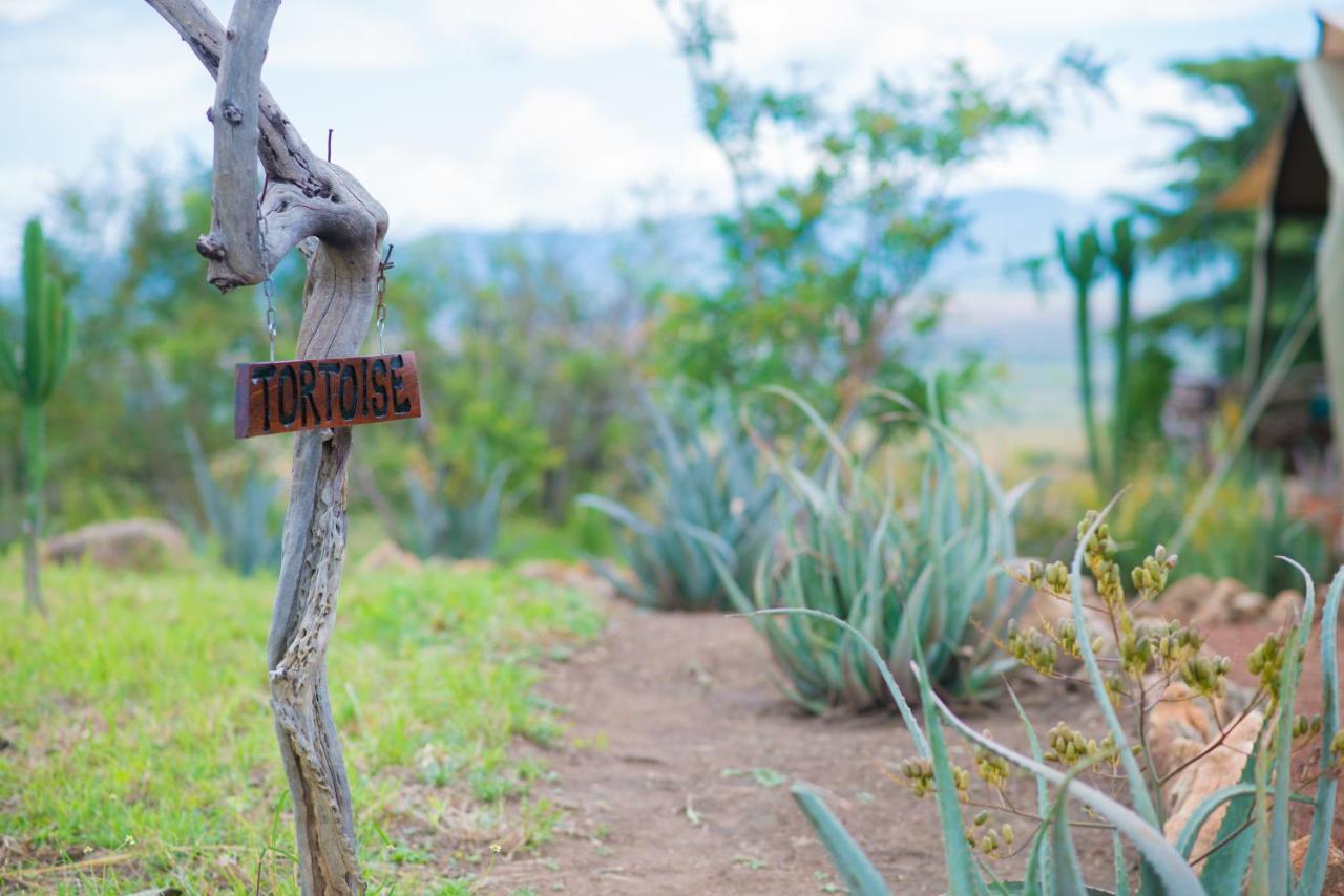 Lodge Kidepo Savannah By Nature Ltd Loitanit